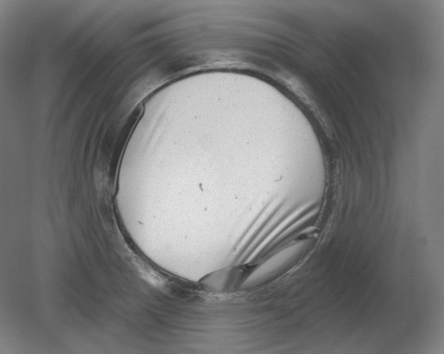 X0000080741281200701051135