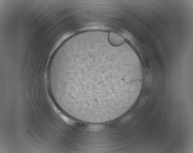 X0000080741282200701051135