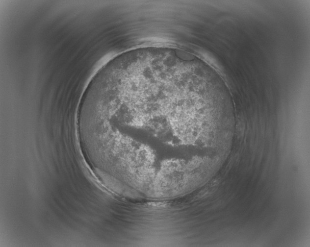 X0000080741283200701051135