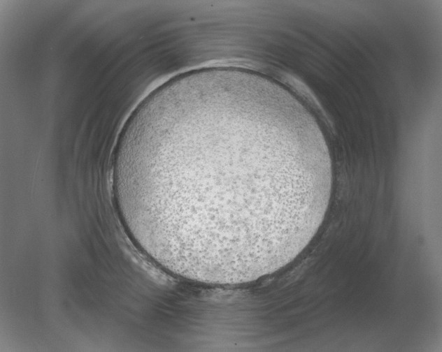 X0000080741284200701051135