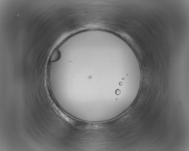 X0000080741286200701051135