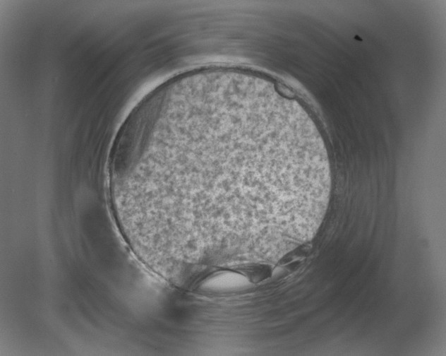 X0000080741287200701051135