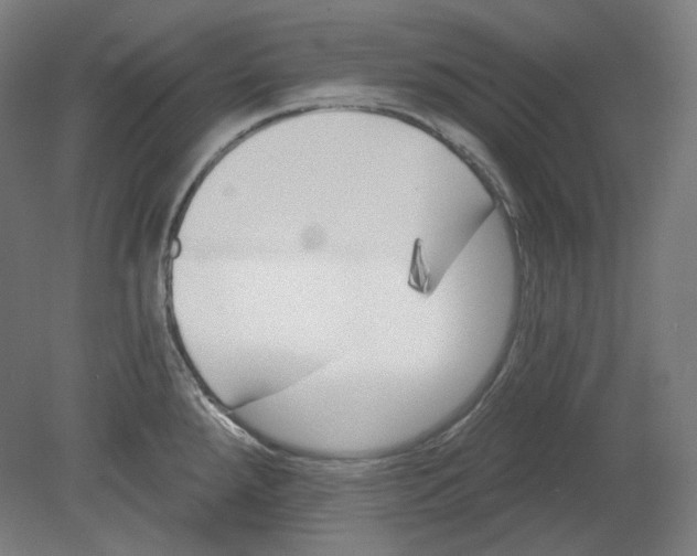 X0000080741288200701051135