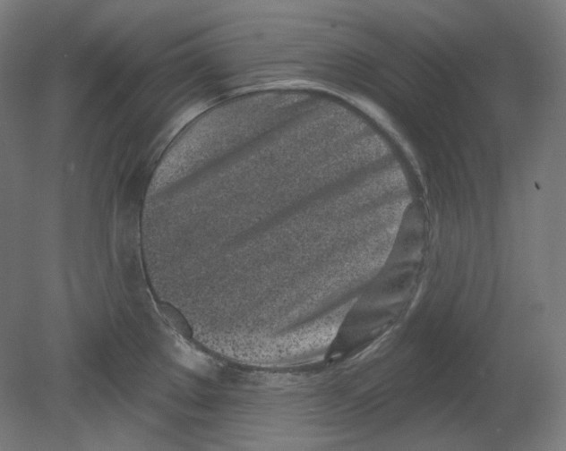 X0000080741289200701051135