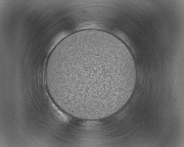 X0000080741290200701051135