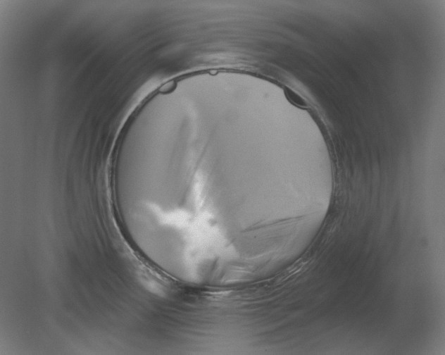 X0000080741291200701051135