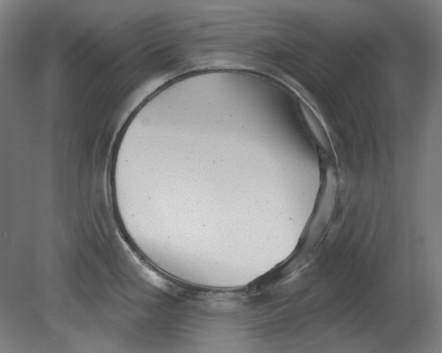 X0000080741293200701051135