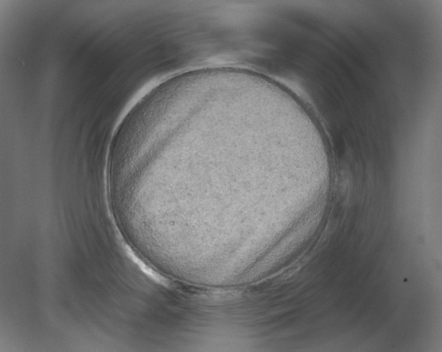 X0000080741294200701051135