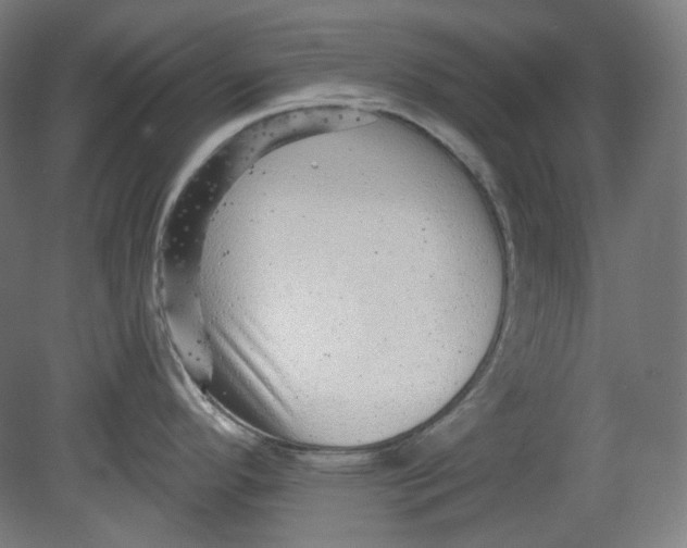 X0000080741296200701051135