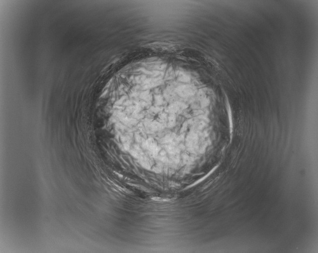 X0000080741297200701051134