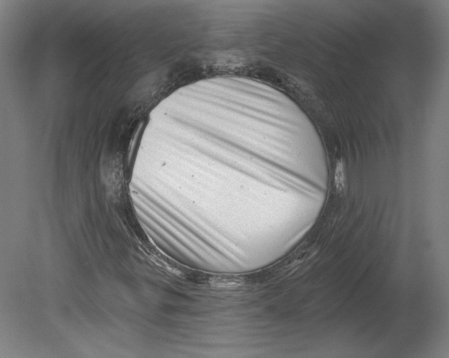 X0000080741299200701051134