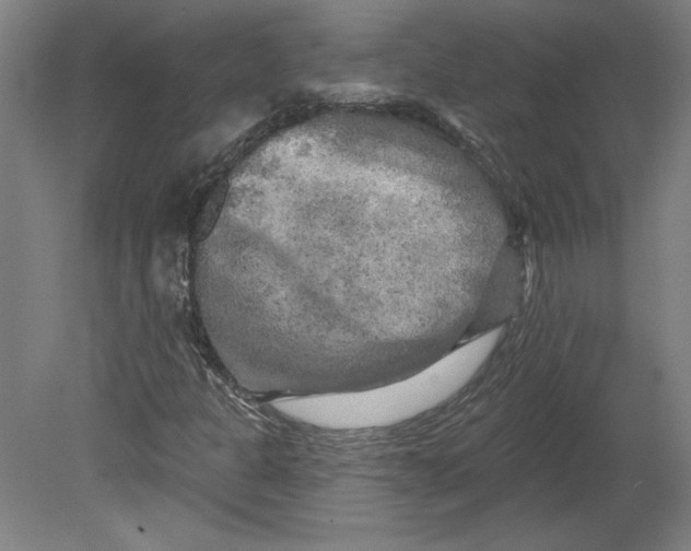 X0000080741301200701051134