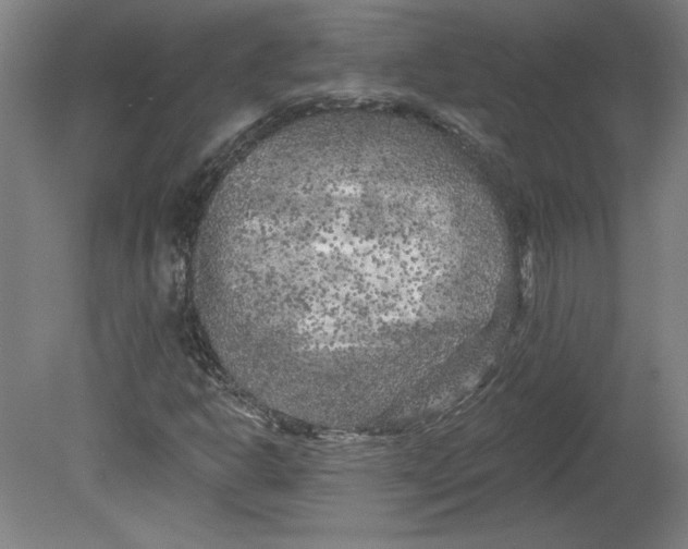 X0000080741302200701051134