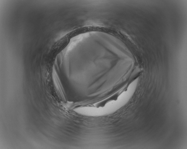 X0000080741303200701051134