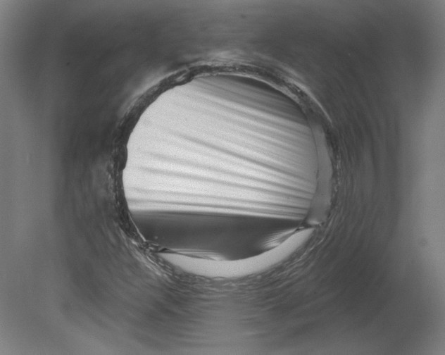 X0000080741304200701051134