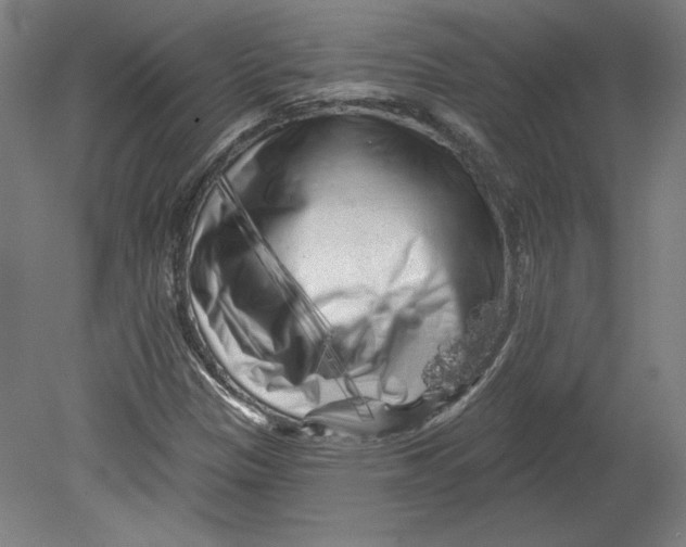 X0000080741305200701051134