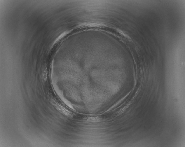 X0000080741306200701051134