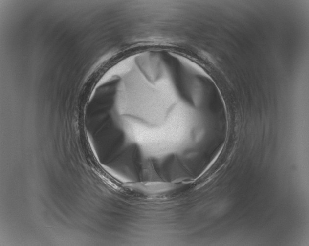 X0000080741307200701051134