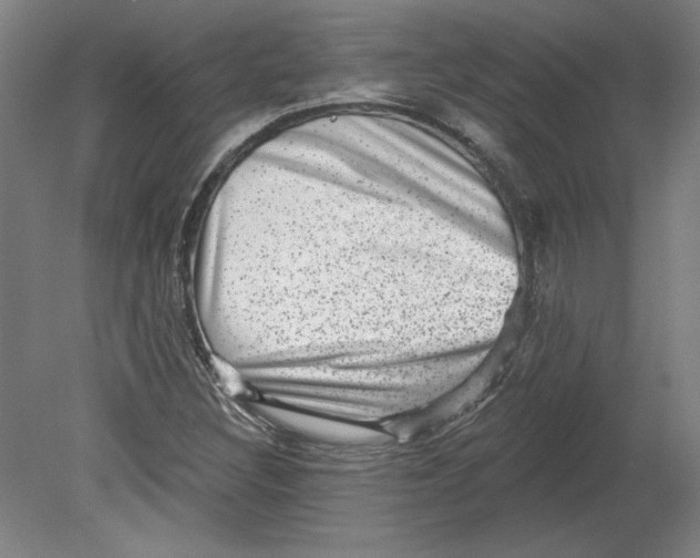 X0000080741308200701051134