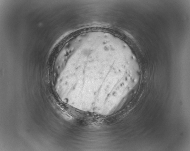 X0000080741310200701051134