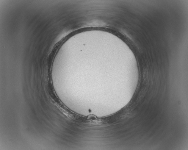 X0000080741315200701051134