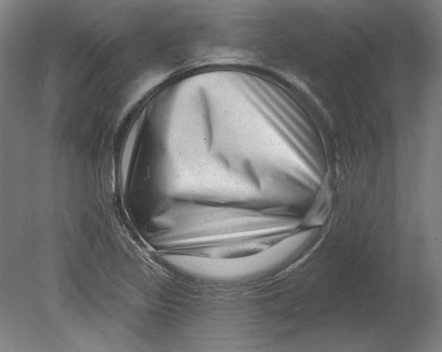 X0000080741317200701051134