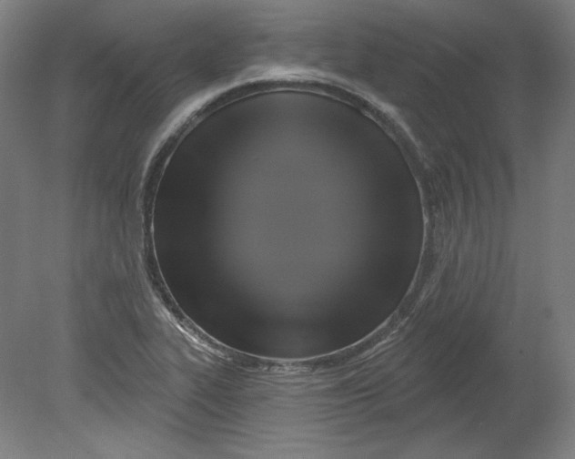 X0000080741319200701051134