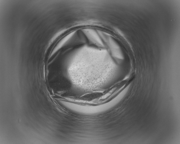 X0000080741320200701051134