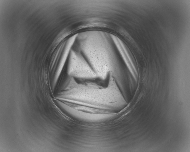 X0000080741321200701051134