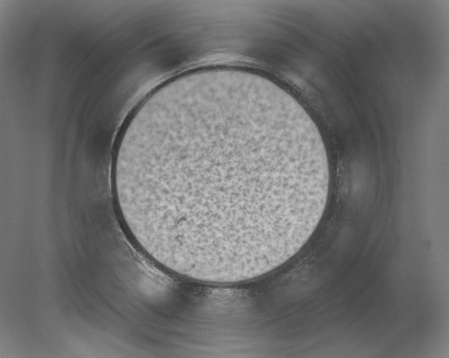 X0000080741322200701051134