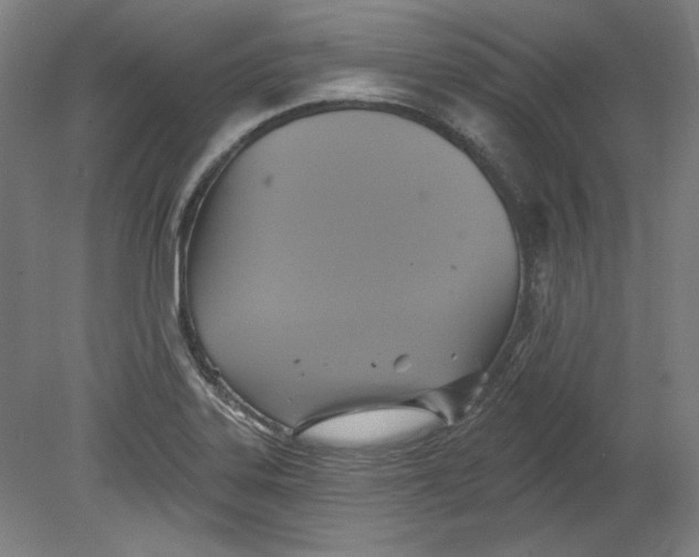 X0000080741323200701051134