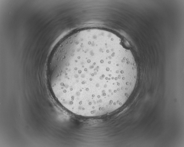 X0000080741325200701051134