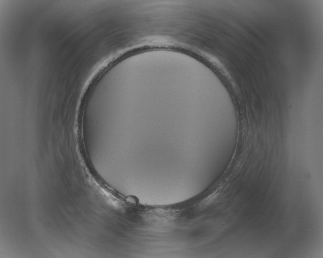 X0000080741327200701051134