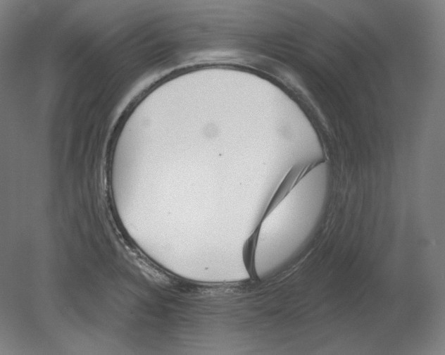 X0000080741328200701051134