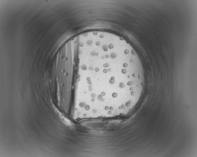 X0000080741329200701051134