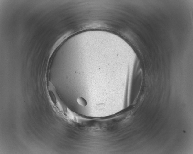 X0000080741330200701051134