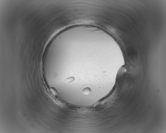 X0000080741332200701051134