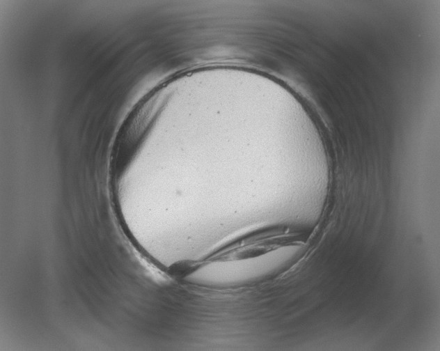 X0000080741333200701051134