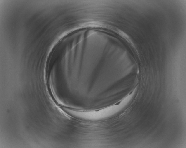 X0000080741334200701051134