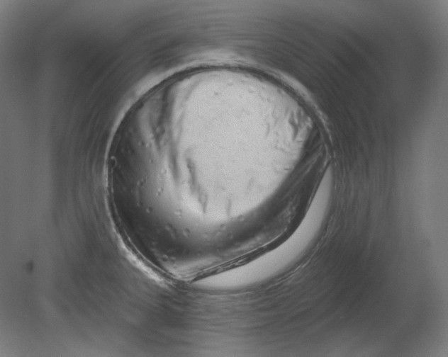 X0000080741335200701051134