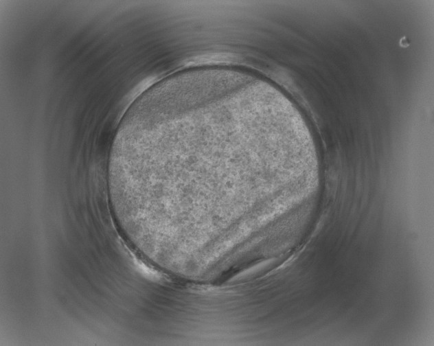 X0000080741337200701051134