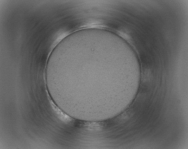 X0000080741338200701051134