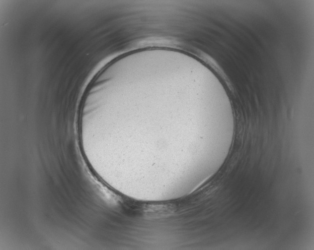 X0000080741339200701051134