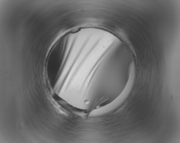 X0000080741340200701051134