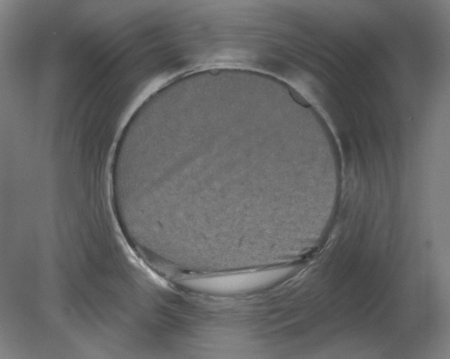 X0000080741341200701051134