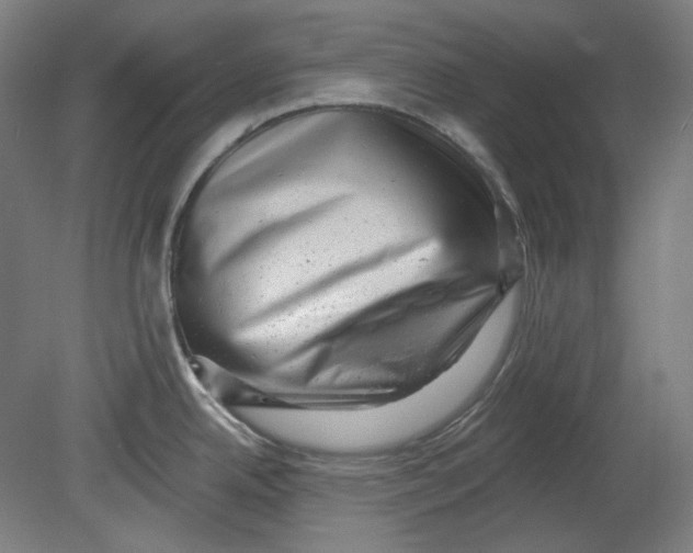 X0000080741342200701051134