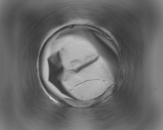 X0000080741343200701051134