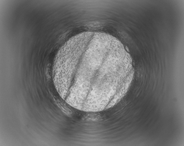 X0000080741346200701051134