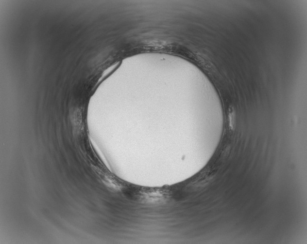 X0000080741347200701051134