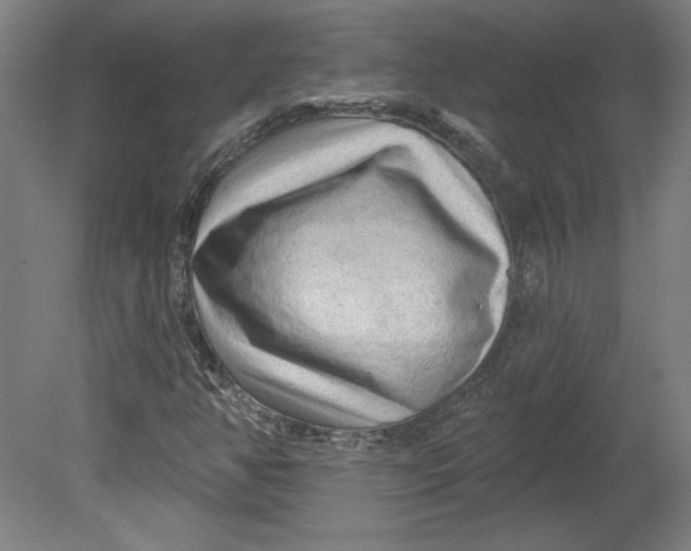 X0000080741350200701051134